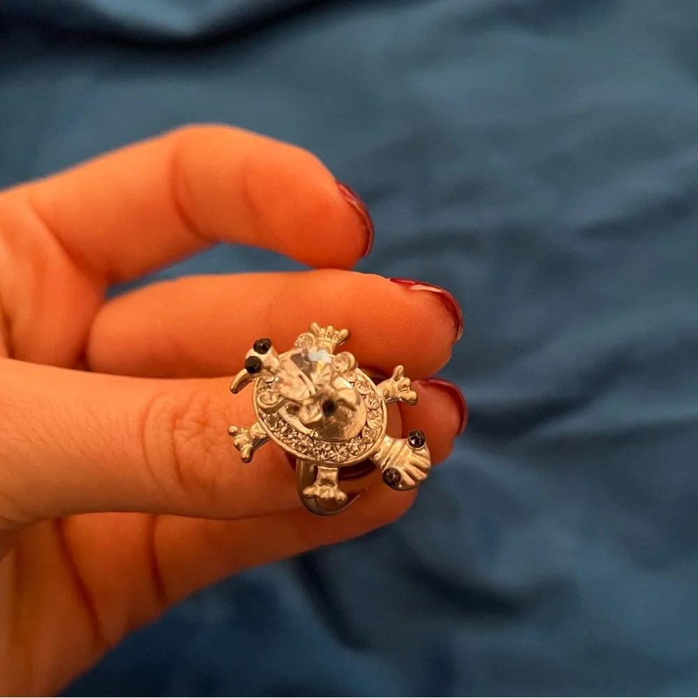 Turtle Fidget Spinner Ring - Picture 1 of 6
